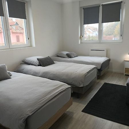 Appartement Entier F3 Renove - Petite Pause A Sélestat Eksteriør billede