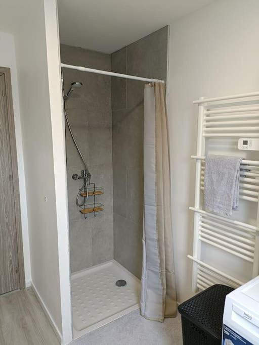 Appartement Entier F3 Renove - Petite Pause A Sélestat Eksteriør billede