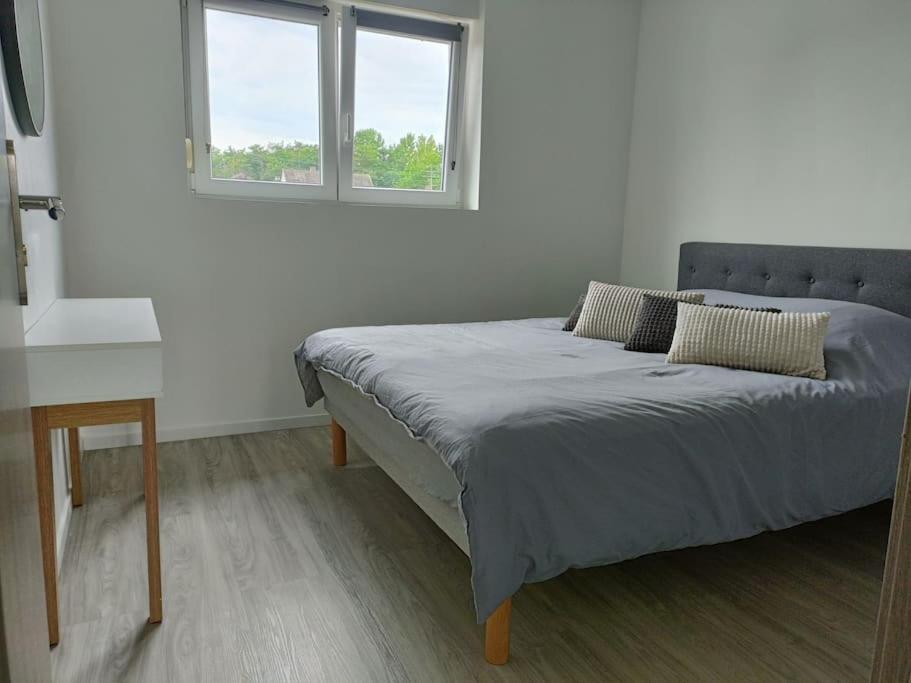 Appartement Entier F3 Renove - Petite Pause A Sélestat Eksteriør billede