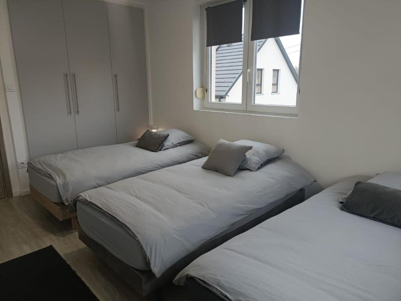 Appartement Entier F3 Renove - Petite Pause A Sélestat Eksteriør billede
