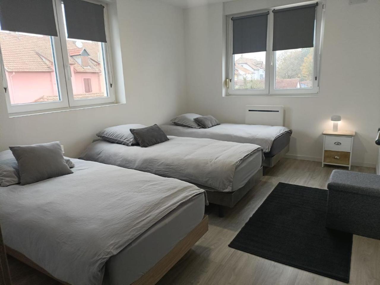 Appartement Entier F3 Renove - Petite Pause A Sélestat Eksteriør billede